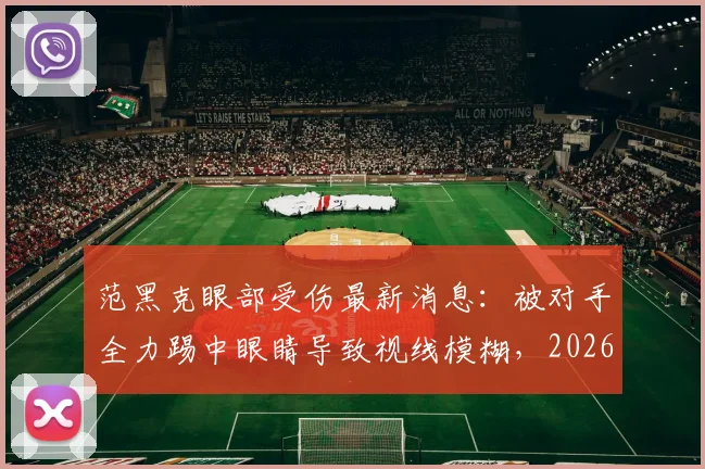 范黑克眼部受伤最新消息：被对手全力踢中眼睛导致视线模糊，2026赛季前景及伤势恢复全面解析