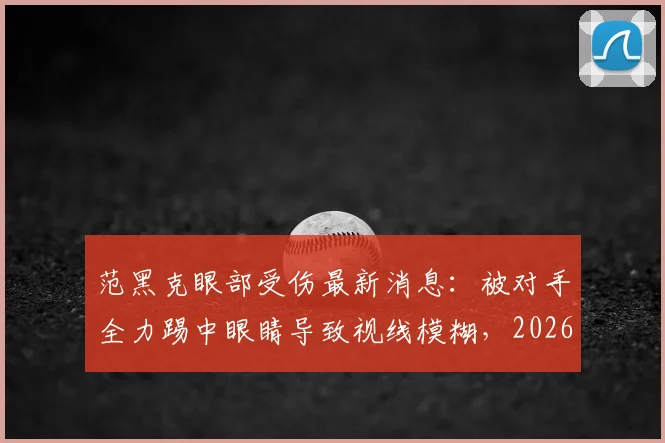 范黑克眼部受伤最新消息：被对手全力踢中眼睛导致视线模糊，2026赛季前景及伤势恢复全面解析