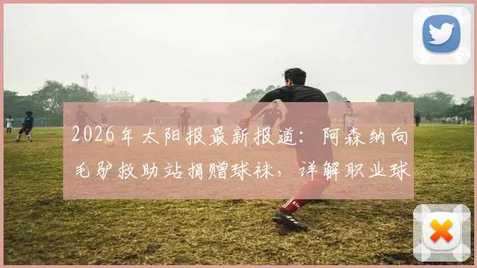 2026年太阳报最新报道:阿森纳向毛驴救助站捐赠球袜,详解职业球袜如何有效防护毛驴腿部免遭叮咬
